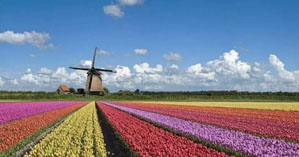 看荷兰农业如何实现高效生态？